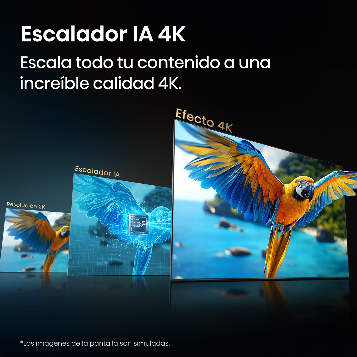 Televisor Hisense Hi-QLED 4K QD5SV 65"